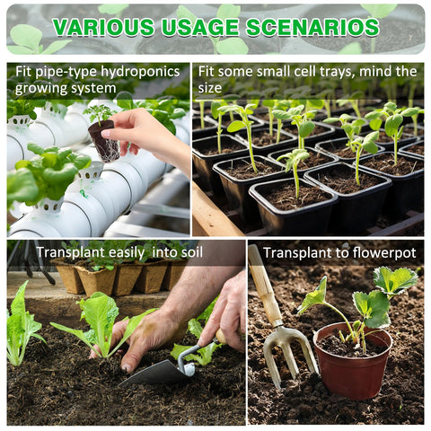 Niuyhe seedlings-easy-transplant enables root-friendly transplant