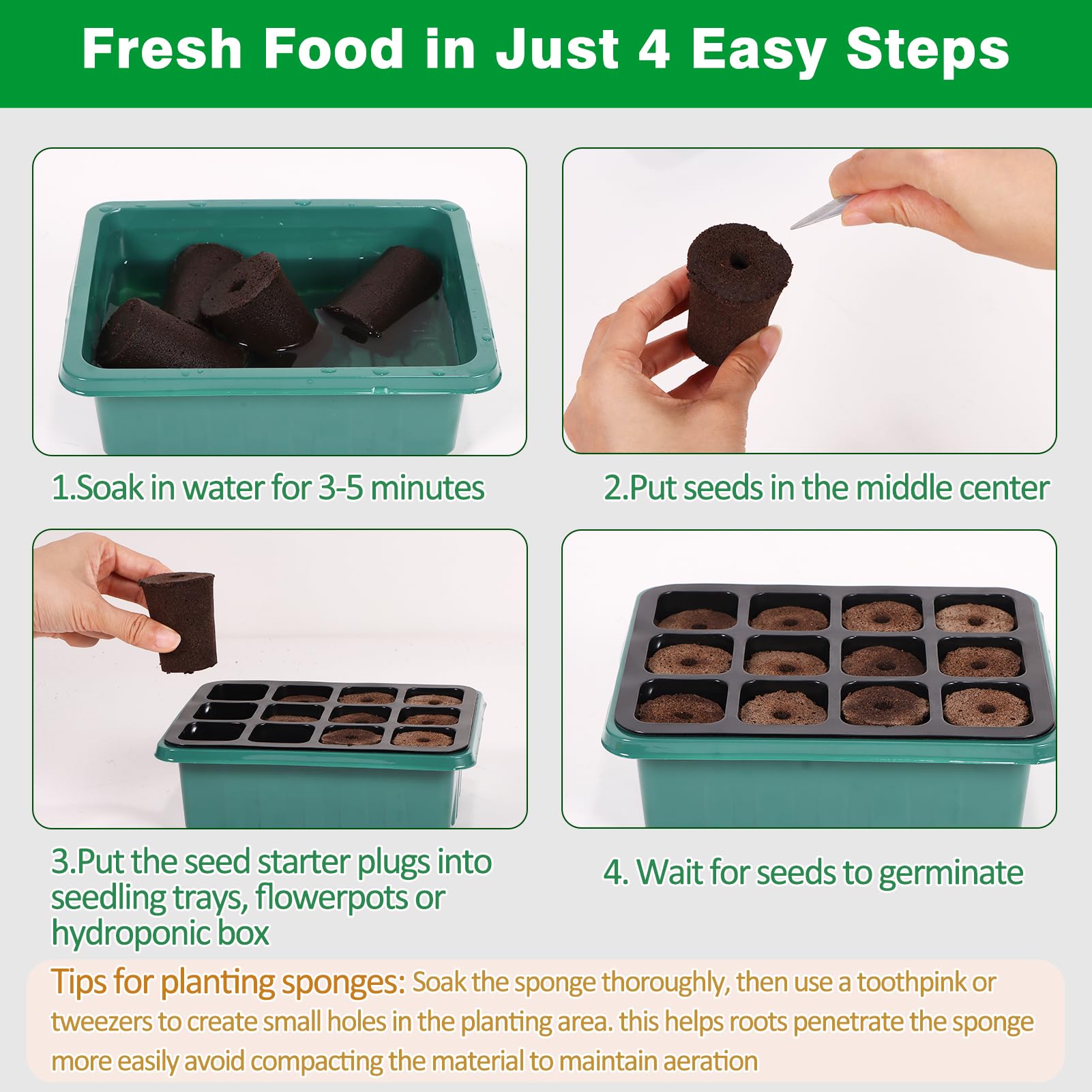 Niuyhe vegetable-seed-starts supports lettuce tomatoes and herbs