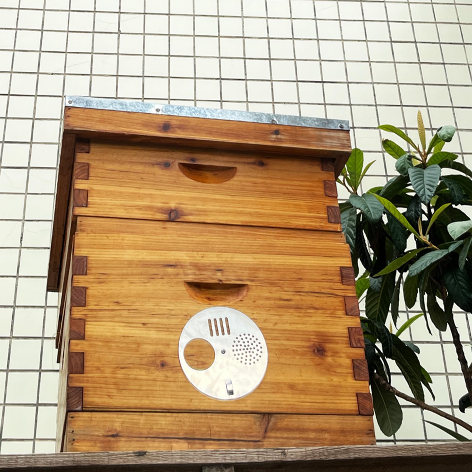 NIZEFEI top-bar hive compatibility with common beekeeping setups.