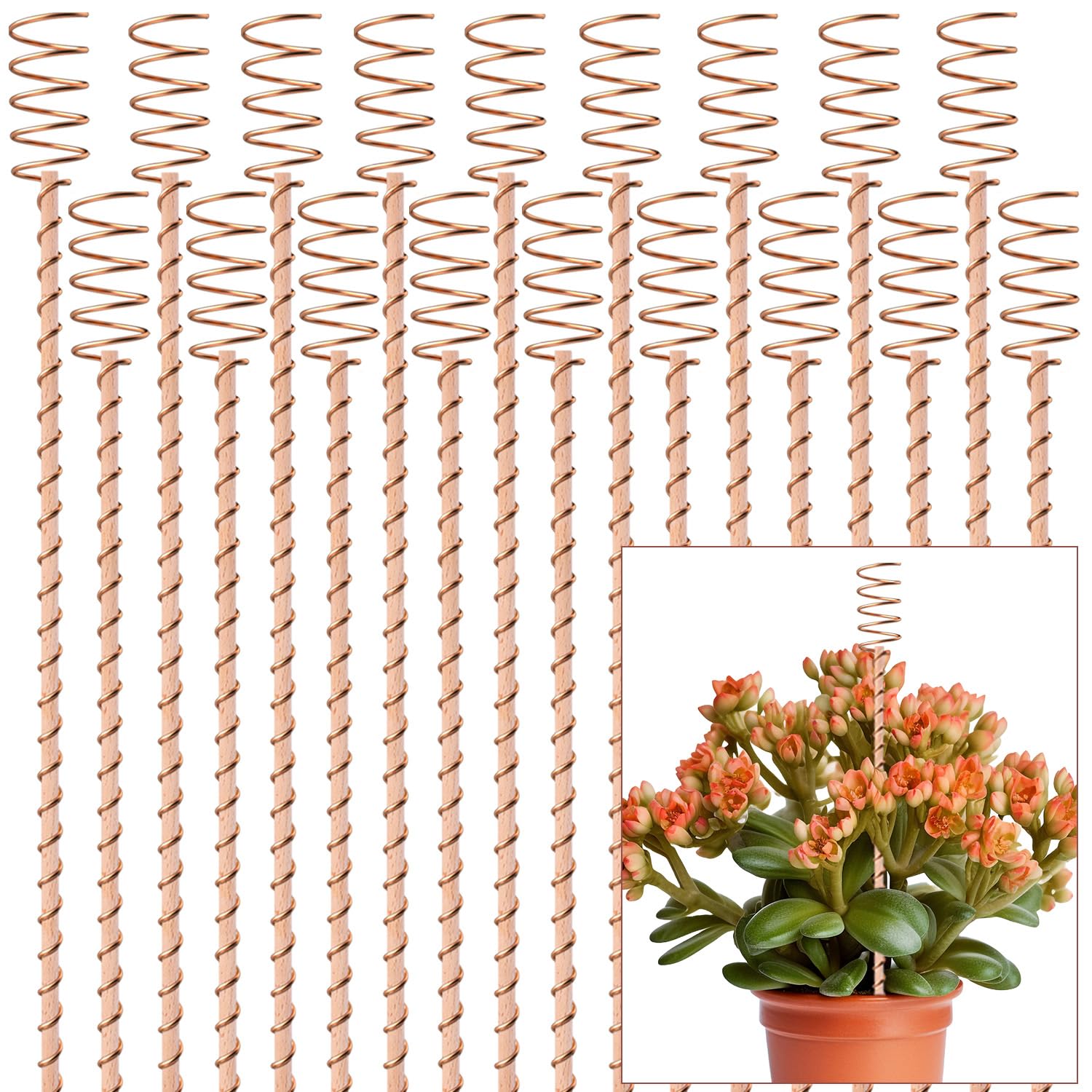 NizHome 18Pack 17-Inch Electroculture Antenna installed in soil to support plant vitality.