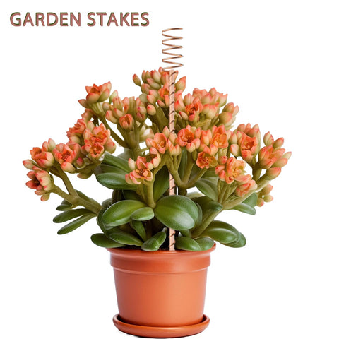 Easy-install stake insertable 2-3 inches into soil near plants by NizHome.
