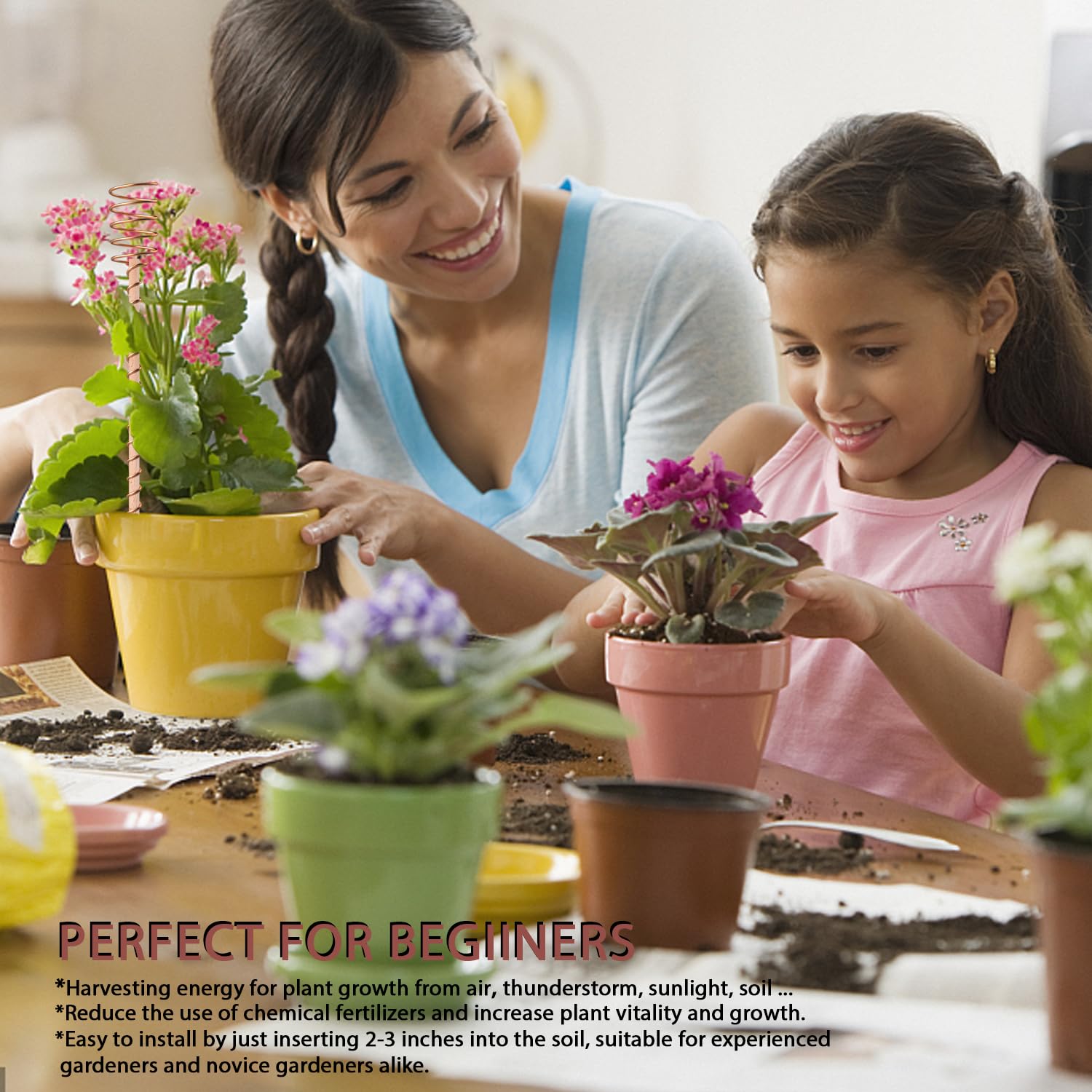 Natural wood base with copper stake offers durable garden hardware from NizHome.