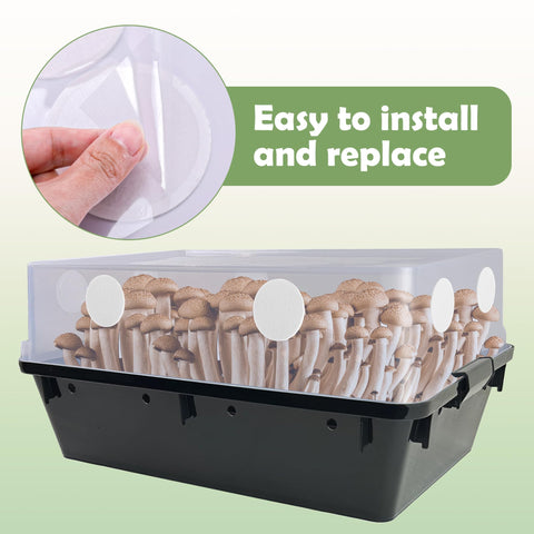 Nkiy Quen adhesive-filter-disk assembly simplifies installation and removal.