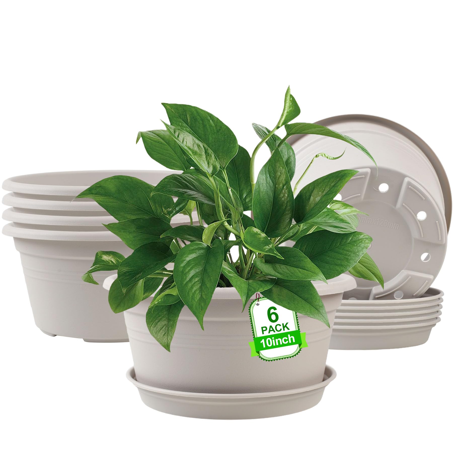 NNARRE 6-pack 10-inch pots with rolled rims for stylish indoor display and easy handling