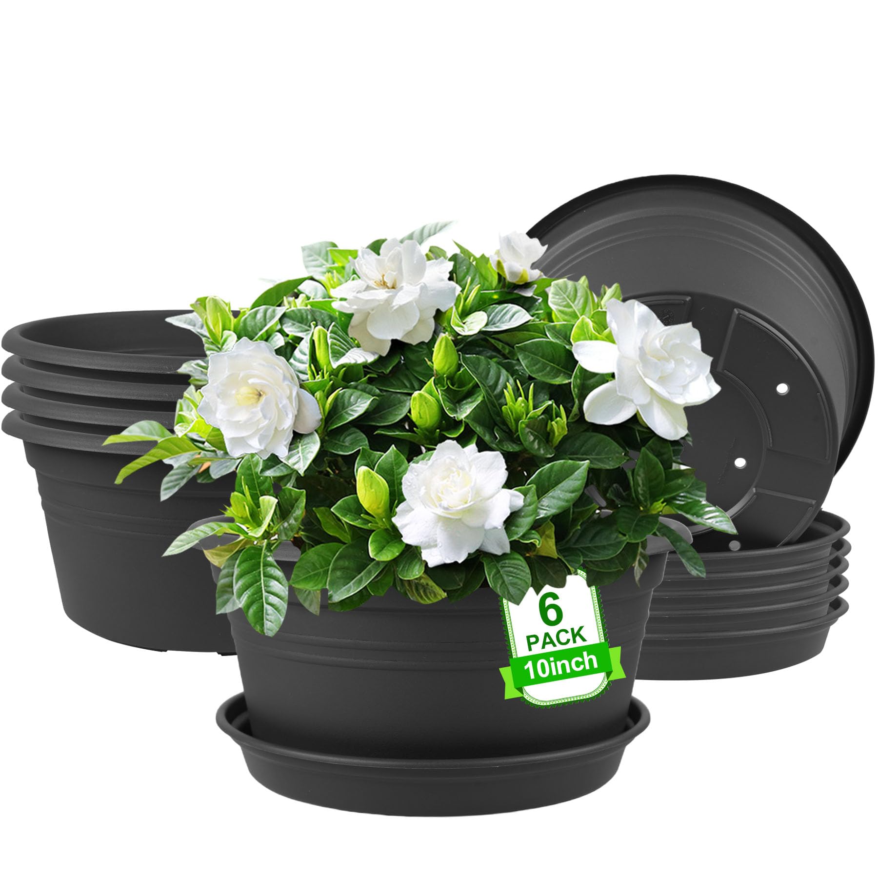 NNARRE 10-inch pot with rolled rim for easy lifting and stylish display