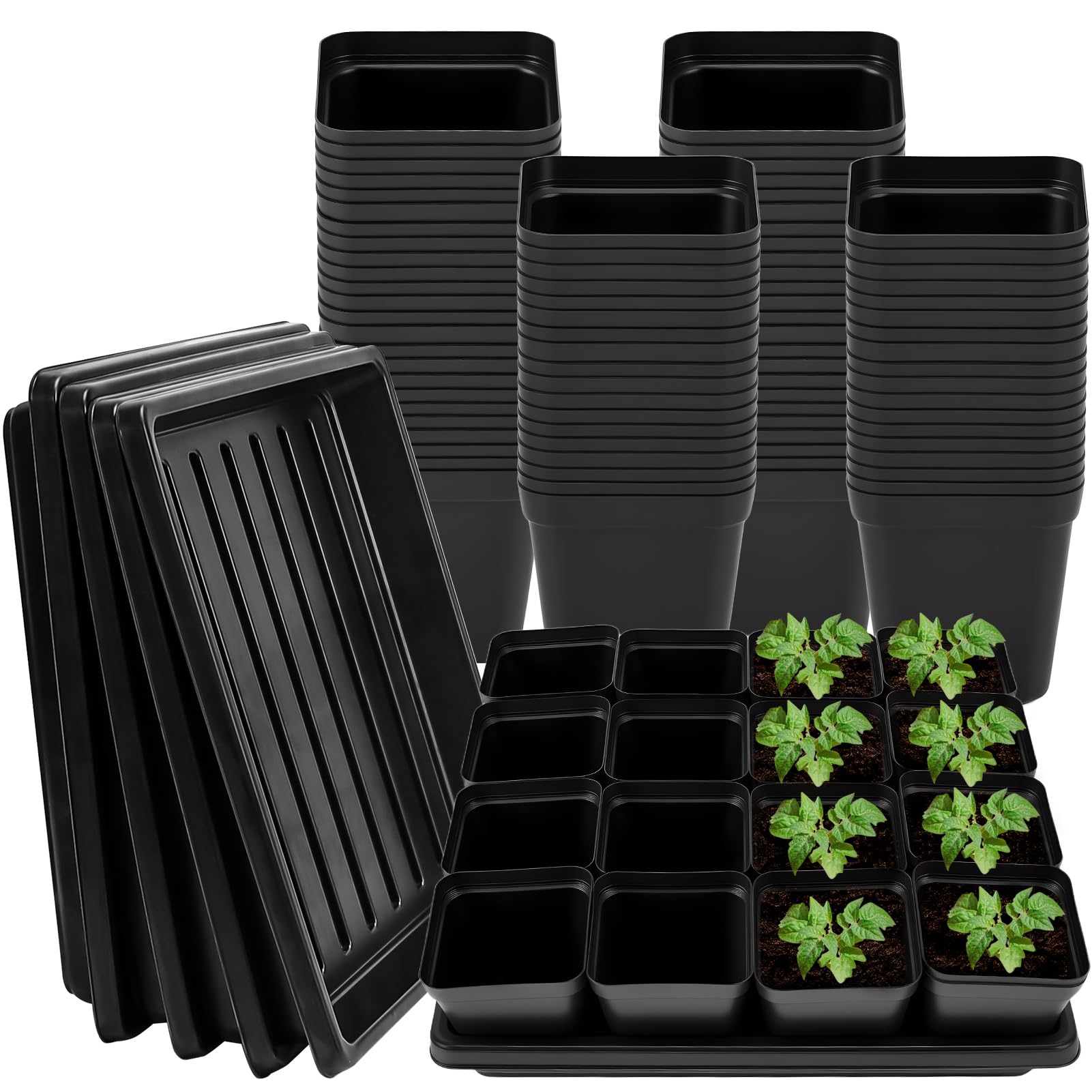 NNG 2.6 inch black square nursery pot with drainage holes for germination