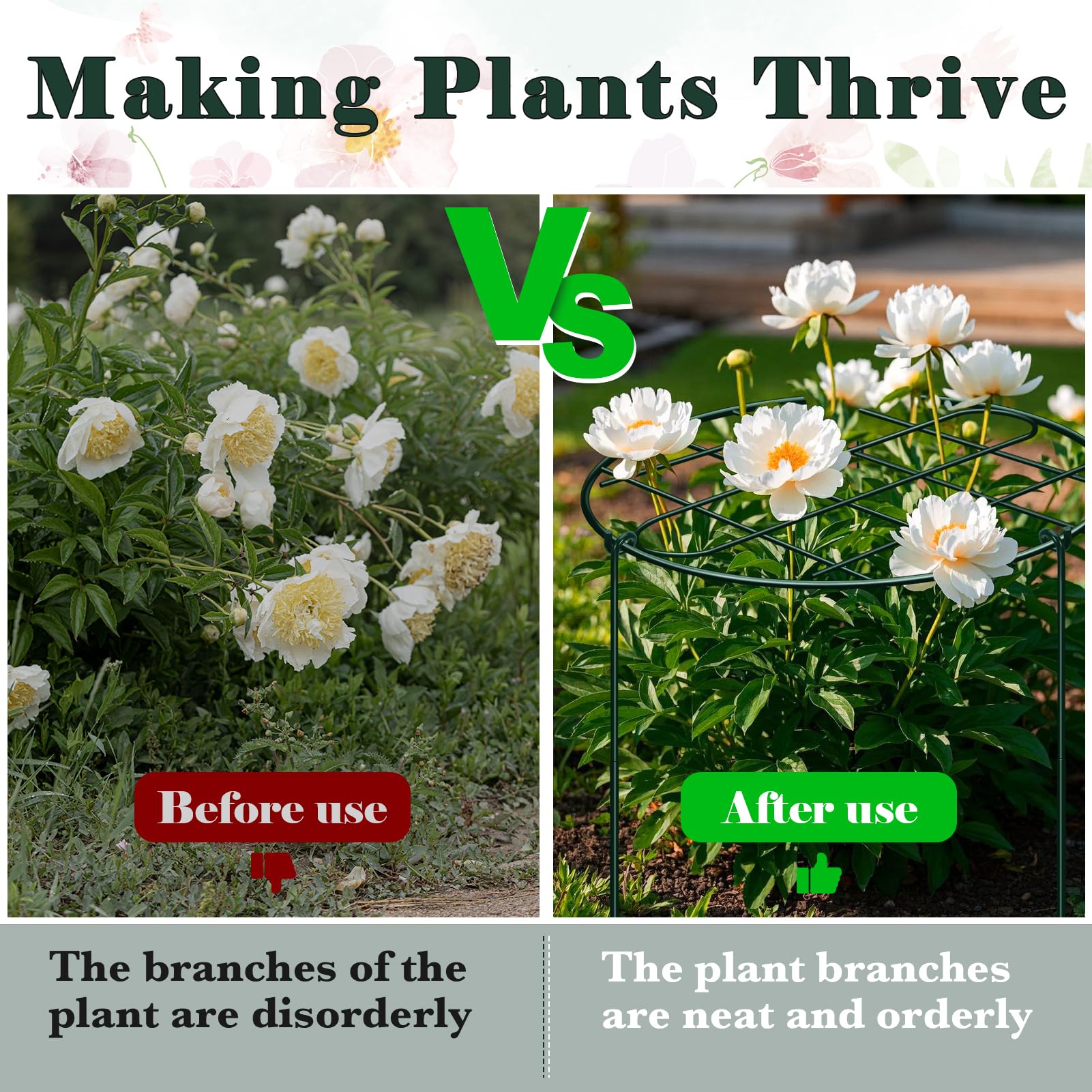 NNG grow-through supports help tomatoes and roses train upward naturally.