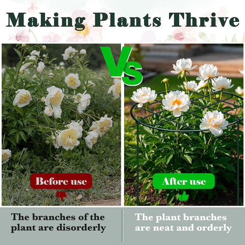 NNG grow-through supports help tomatoes and roses train upward naturally.