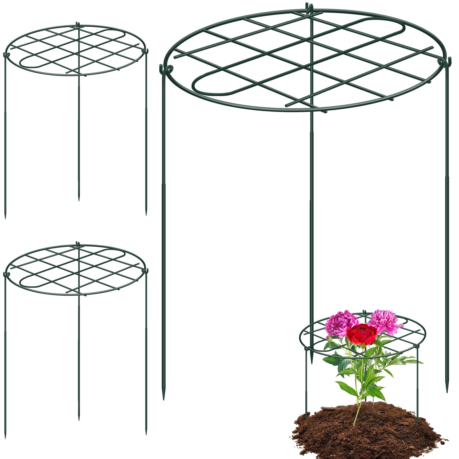 NNG 3-pack peony cages with grid-top provide strong support for tall blooms.