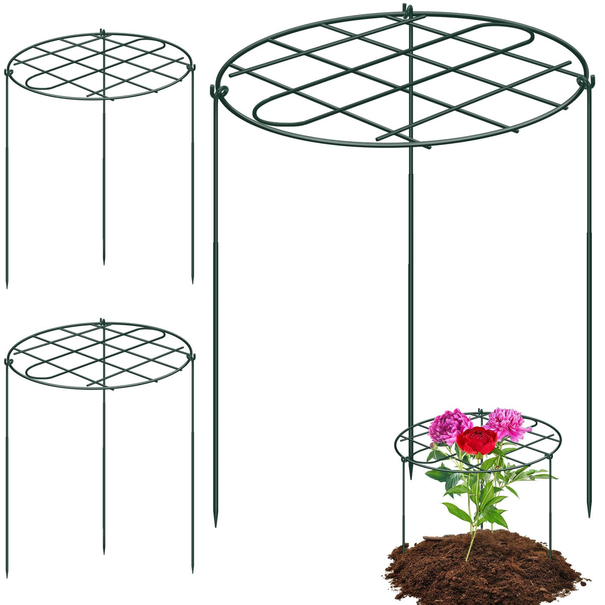 NNG 3-pack peony cages with grid-top provide strong support for tall blooms.