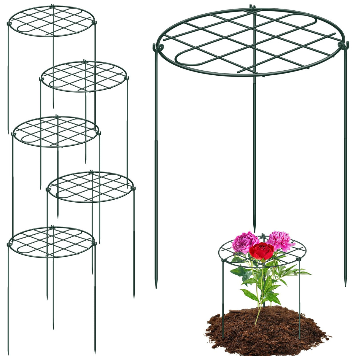 NNG 6-pack grow-through plant supports with grid top for stable vertical growth
