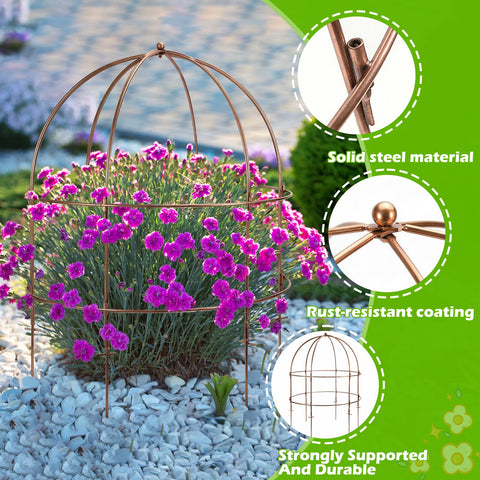 NNG decorative dome top design adds garden elegance while supporting plants.