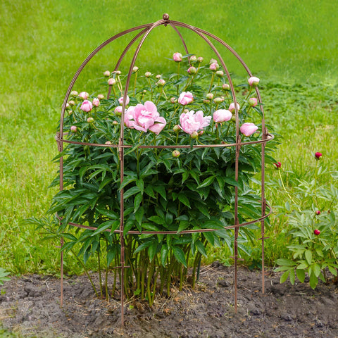 NNG ground stakes anchor the cage securely in garden beds.