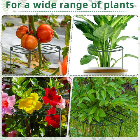 NNG ideal for peonies tomatoes begonias cosmos to guide growth