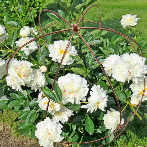 NNG multipurpose cage supports peonies, tomatoes, and climbing vines.