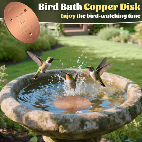 NNG outdoor-friendly disk enhances water cleanliness in birdbaths