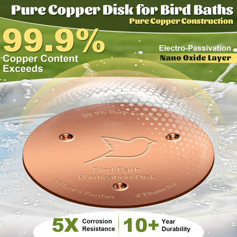 NNG passivated copper surface preserves water quality across weather