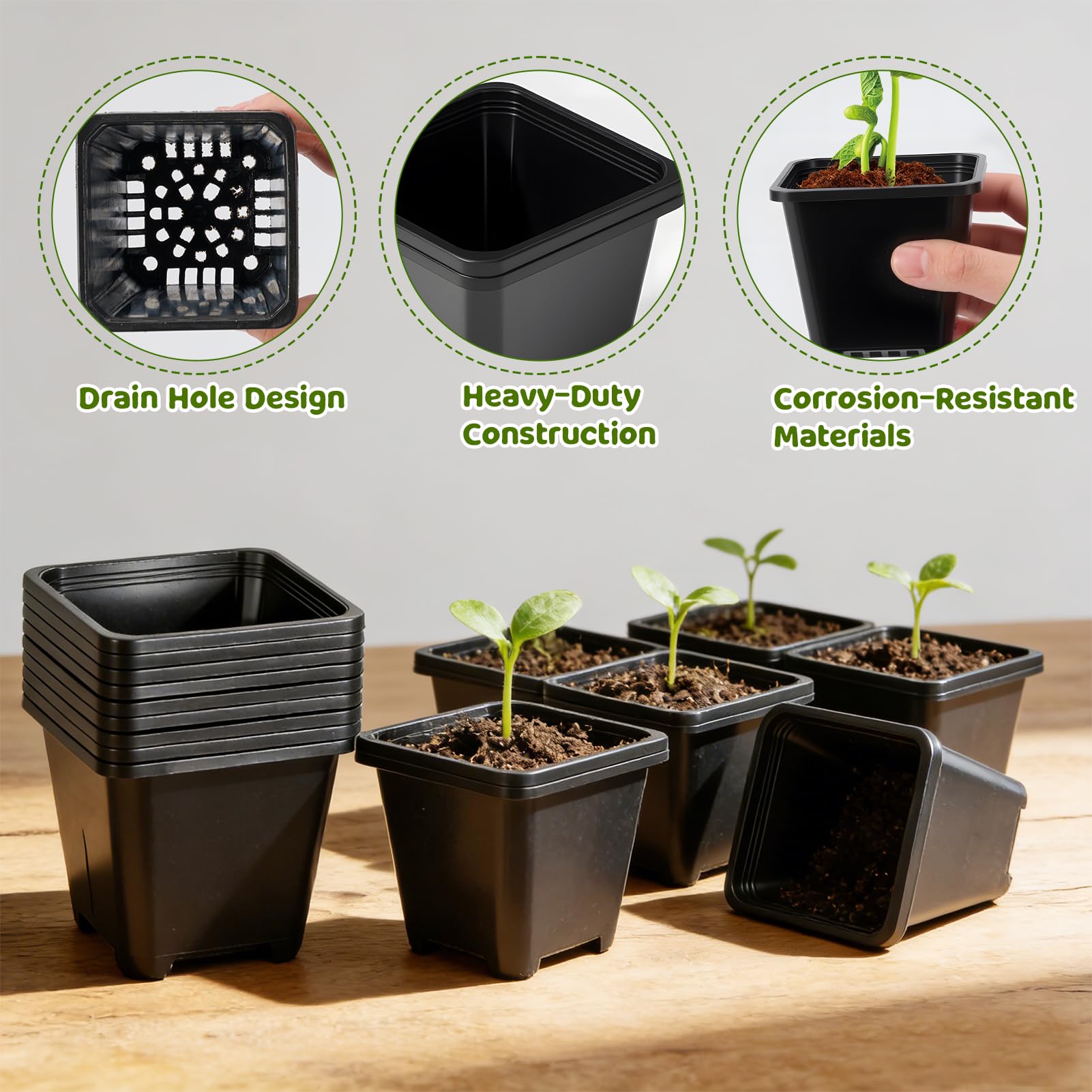 NNG plastic seedling pots with bottom drainage holes supporting root health.