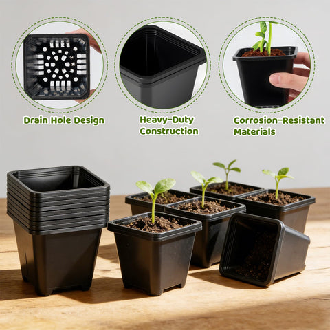 NNG plastic seedling pots with bottom drainage holes supporting root health.