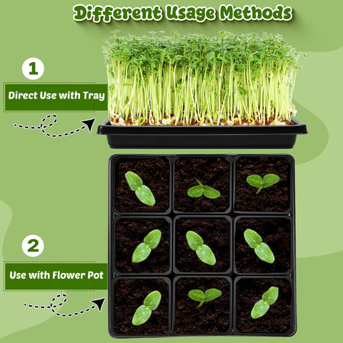 NNG propagation starter kit keeps small plants organized on a windowsill.