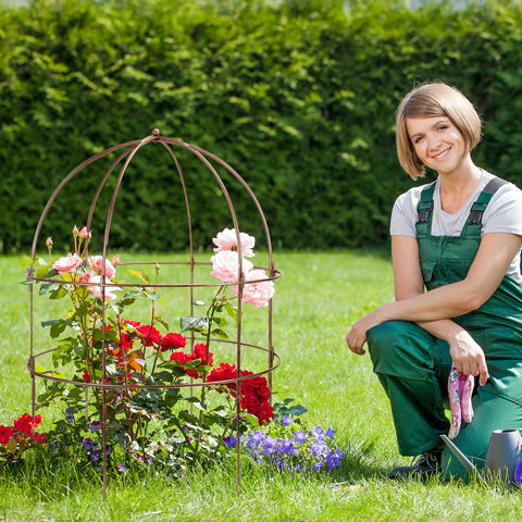 NNG 19.6-inch ring diameter accommodates medium to tall stems.