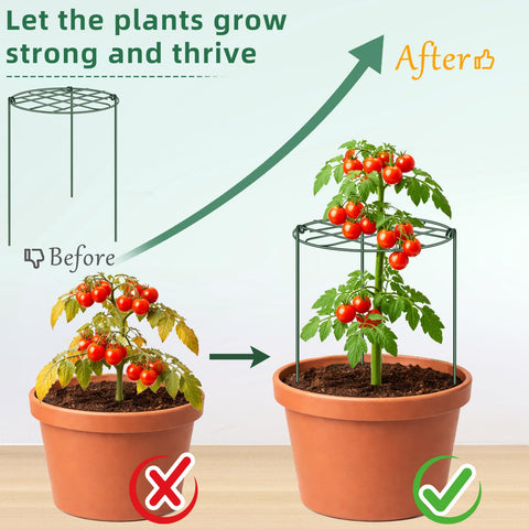 NNG rounded plant supports blend naturally with garden foliage outdoors