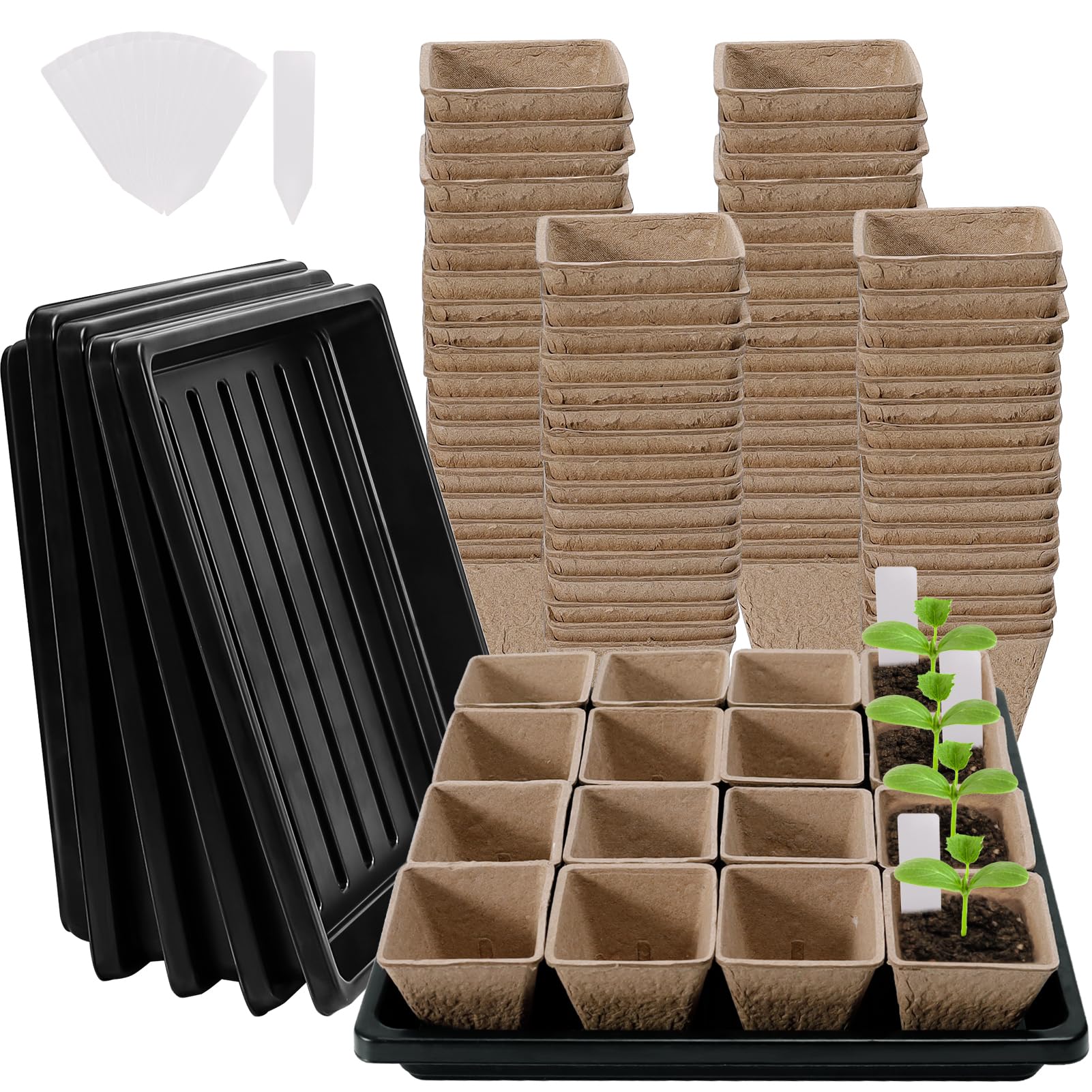 NNG seed starter tray 5-pack ready for germination and garden prep