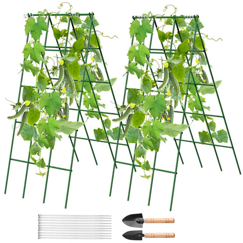 No Assembly Required Cucumber Trellis front view showing sturdy, ready-to-use garden support for cucumbers