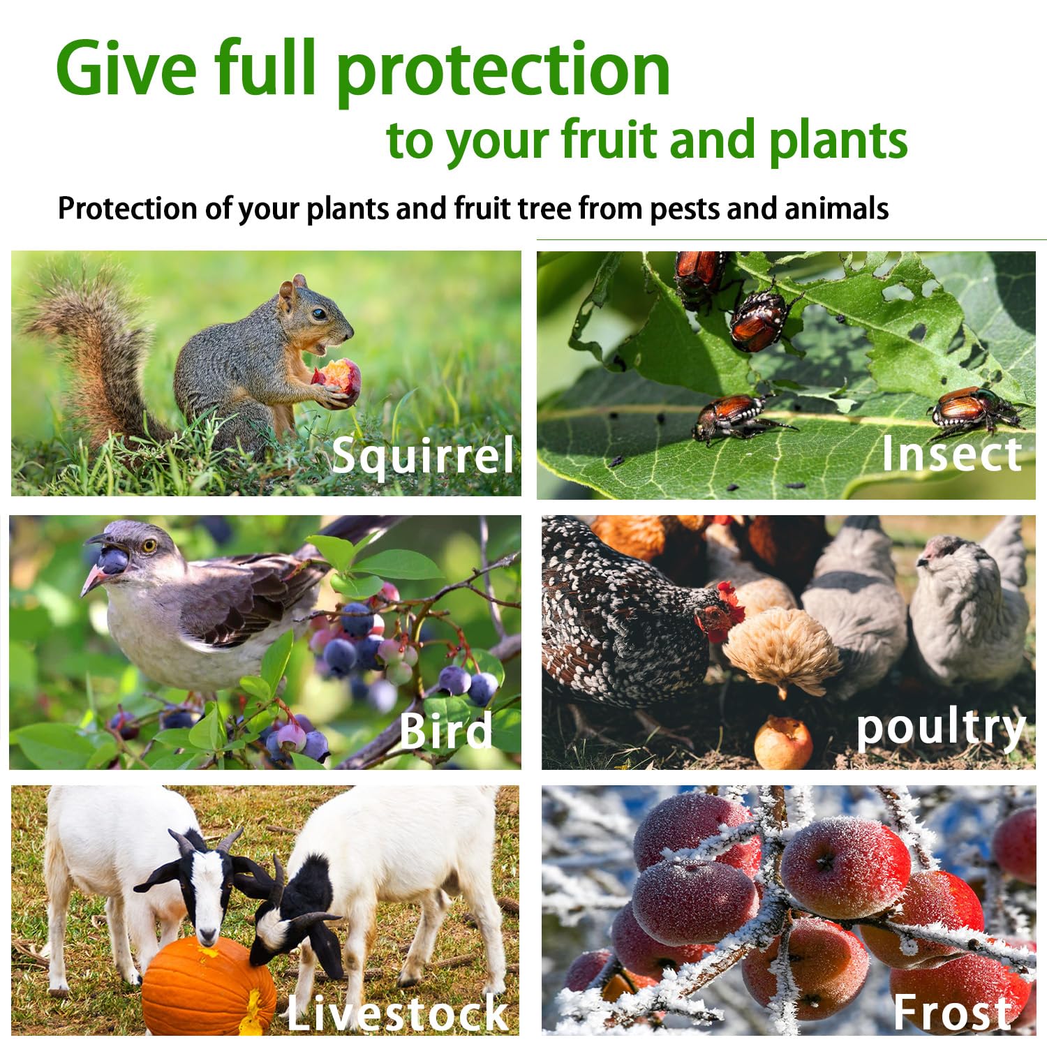 No-Hell bird and insect barrier protects fruit trees and flowers.