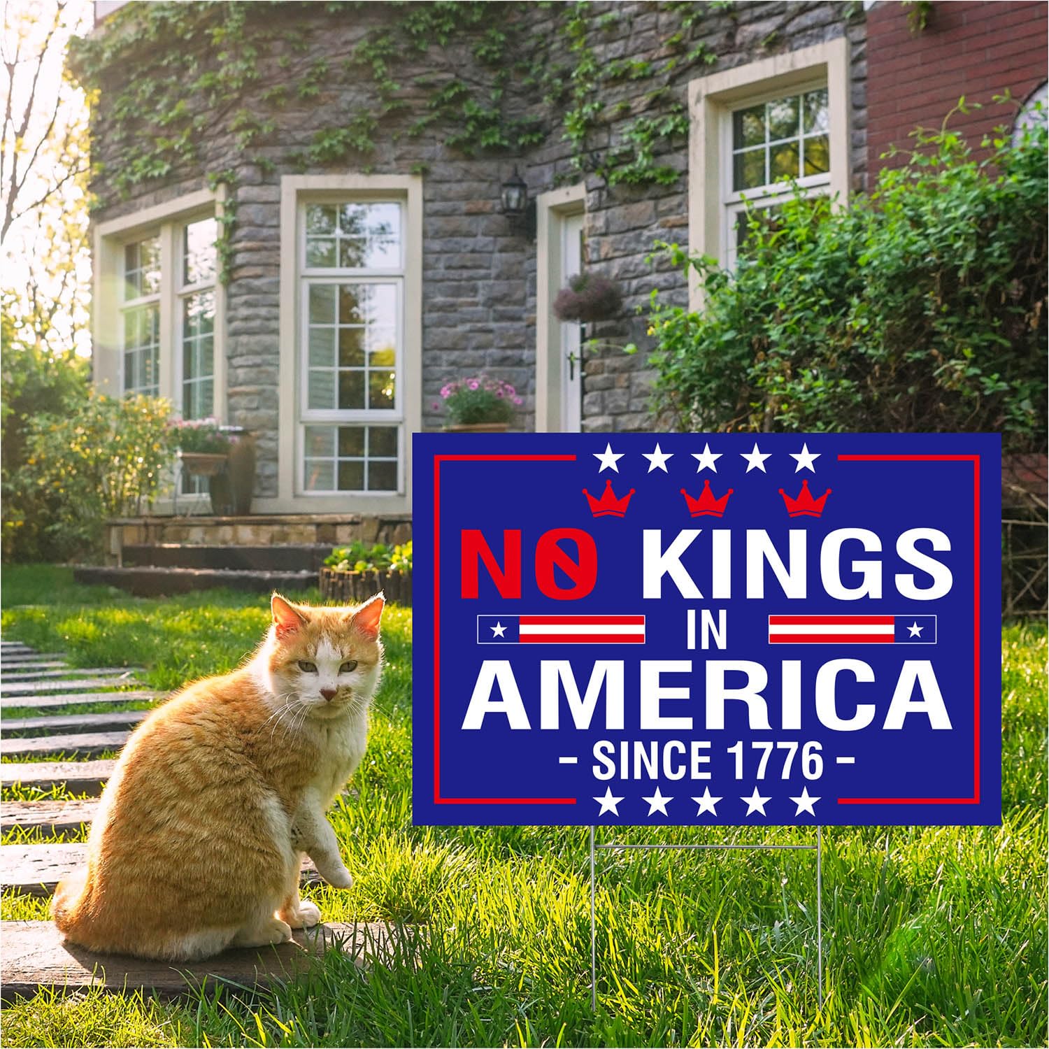 No Kings In America blue sign close-up shows rugged plastic durability for year-round use