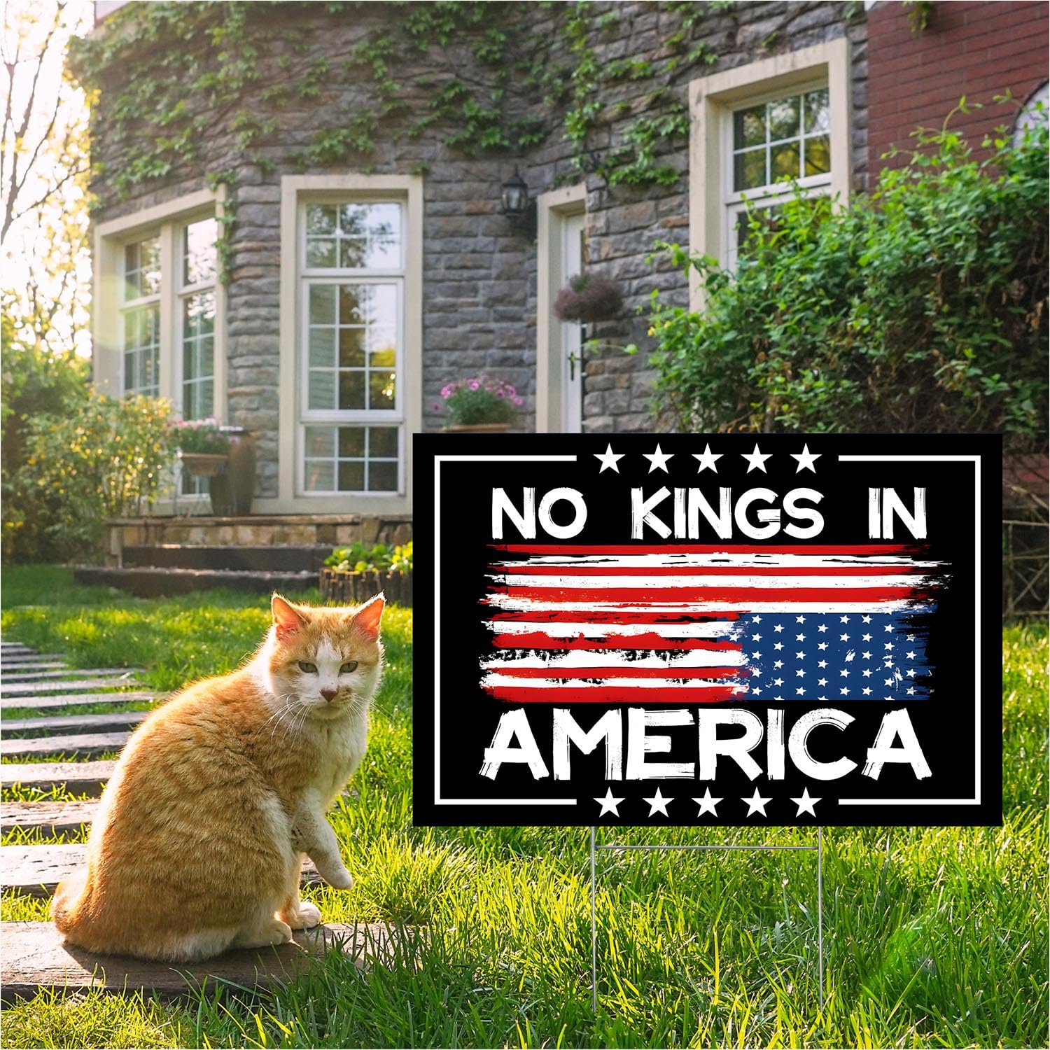 No Kings In America sign yard display at rallies and community events.