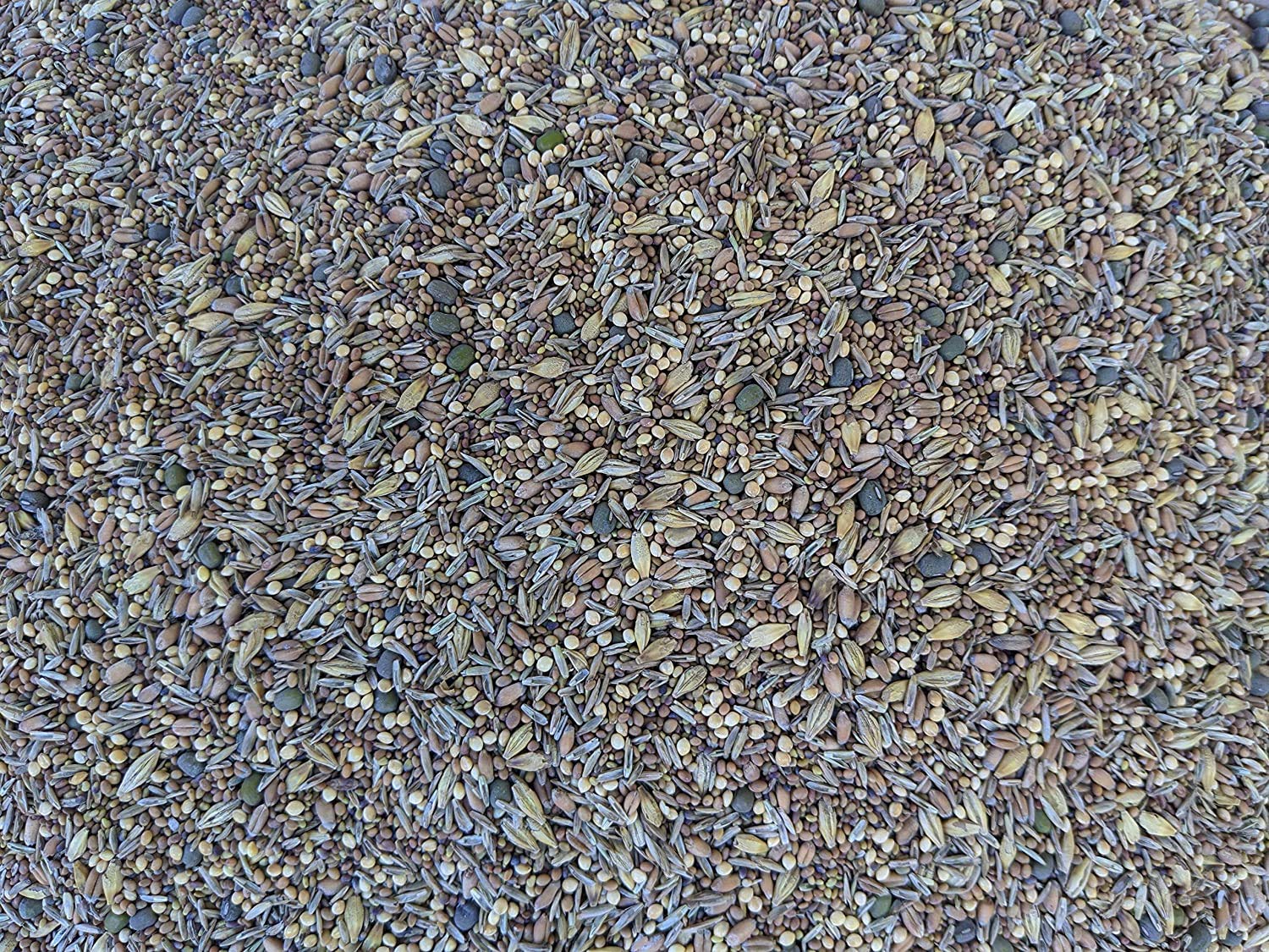 No-Till Solutions premium poultry seeds bag ready for diverse pasture grazing.