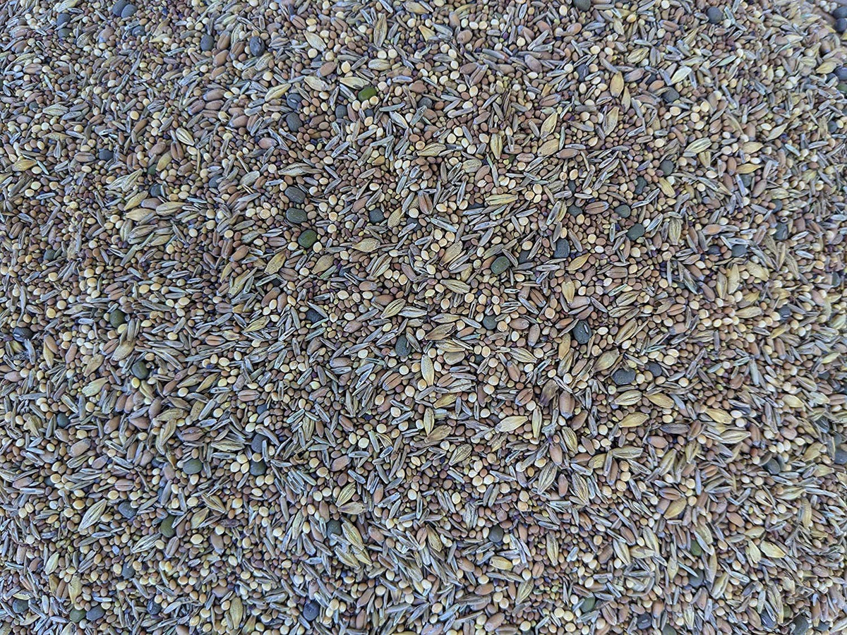 No-Till Solutions premium poultry seeds bag ready for diverse pasture grazing.