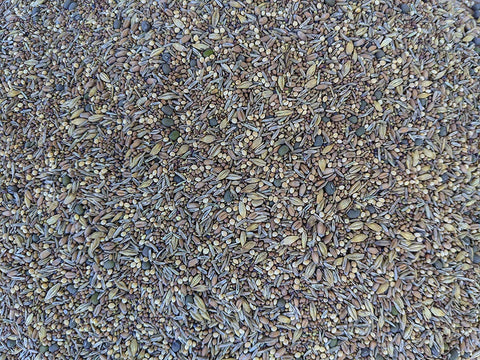 No-Till Solutions premium poultry seeds bag ready for diverse pasture grazing.