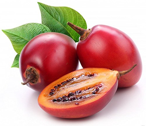 Noah's Seed Depository tamarillo seed pack 35 seeds ideal for home fruit gardens.
