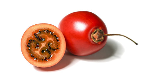 Noah's Seed Depository tamarillo seeds close-up for gardeners planning home fruit harvest.