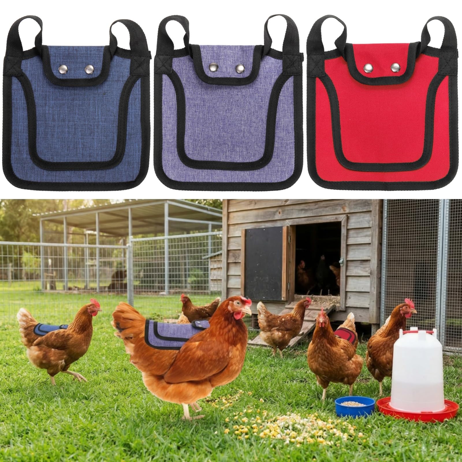 Noamus chicken saddle provides back protection during active pecking and mating.