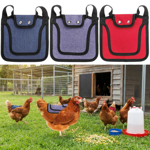Noamus chicken saddle provides back protection during active pecking and mating.
