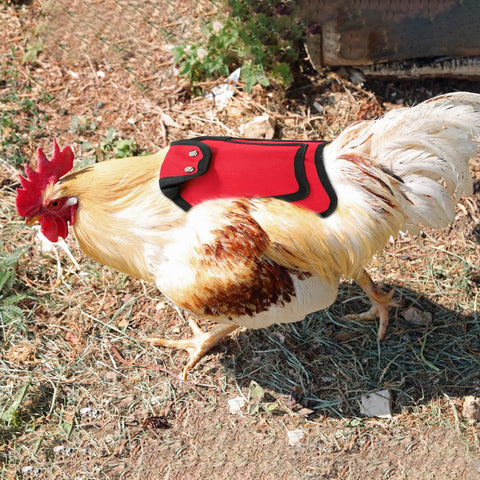 Noamus saddle size 7.5 by 7.5 inches suits small to mid-weight hens.