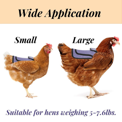 Noamus feather recovery aid covers lost feathers and wounds for healing support.
