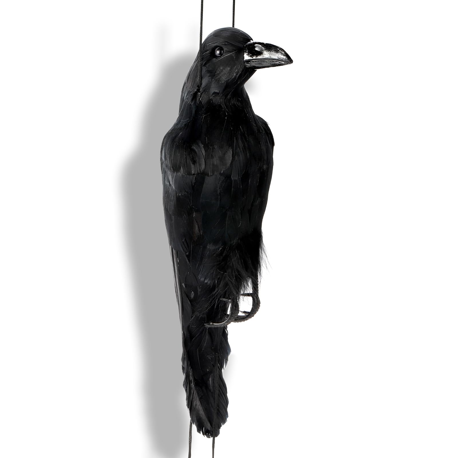 Noamus fake raven serves as a versatile decoy for events and decor.