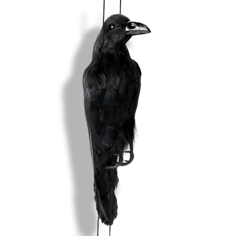 Noamus fake raven serves as a versatile decoy for events and decor.