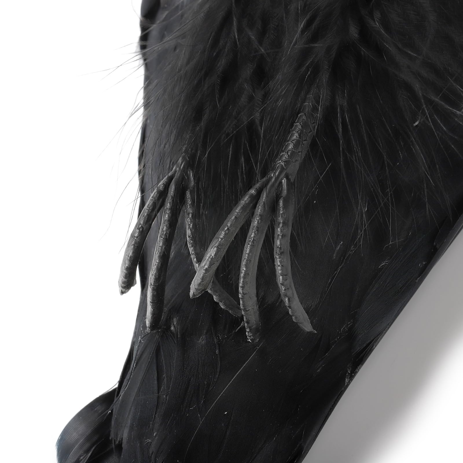 Noamus handmade crow combines durability with lifelike detail for long-term display.