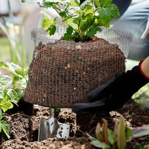 Noamus gopher-vole proof basket ensures durable protection for flowers and vegetables.