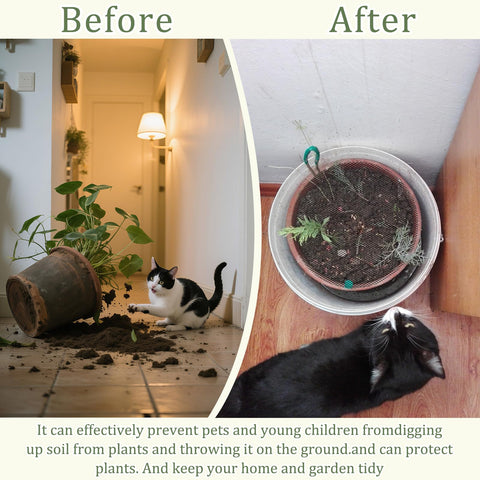 NODMIPNS plant cover shields soil during watering and prevents digging.