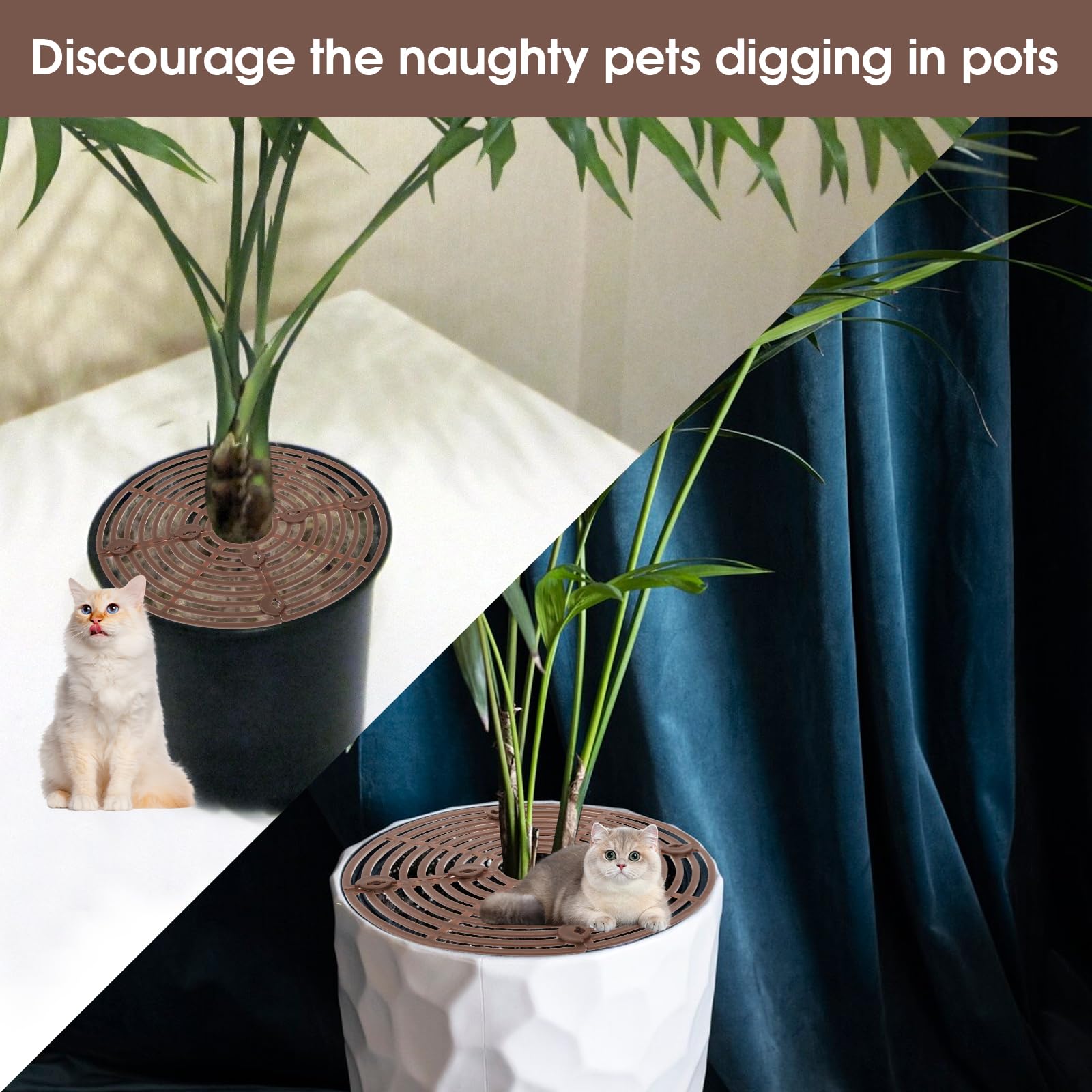 Nogeqi breathable grid design keeps roots airy during watering sessions.