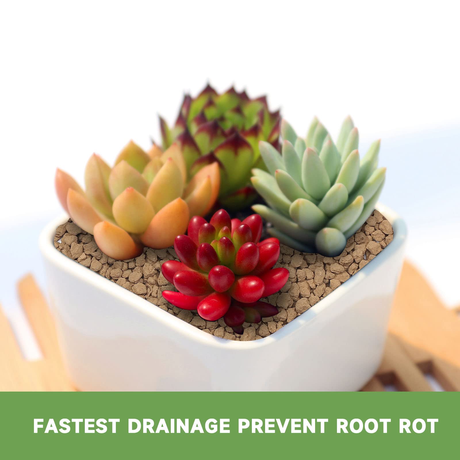 NOHOBE bonsai mix particles enable versatile soil blends.