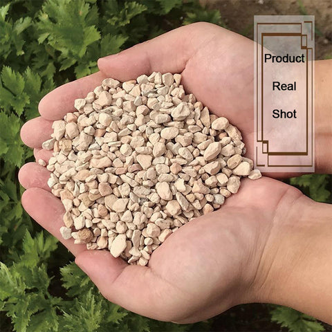 NOHOBE diatomite rocks promote root growth through silicon support