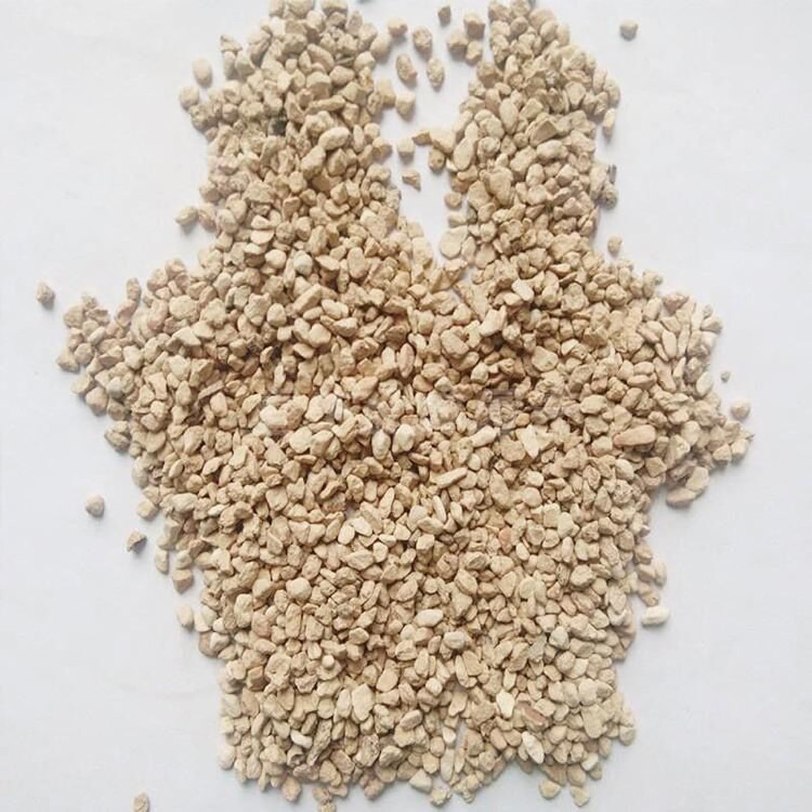 NOHOBE diatomite rocks succulent care top dressing