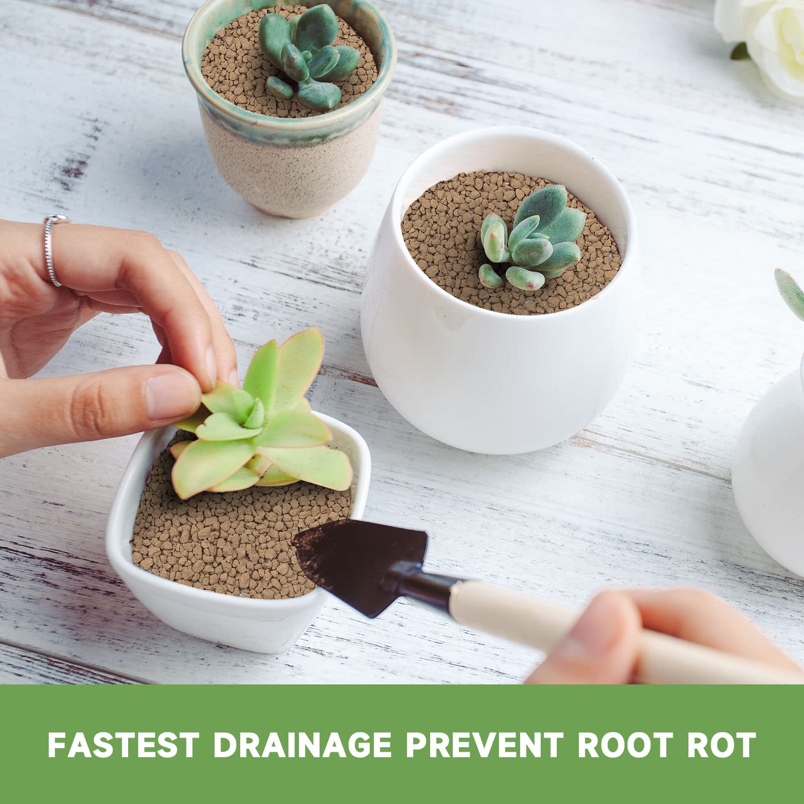 NOHOBE fast drainage promotes even moisture distribution.